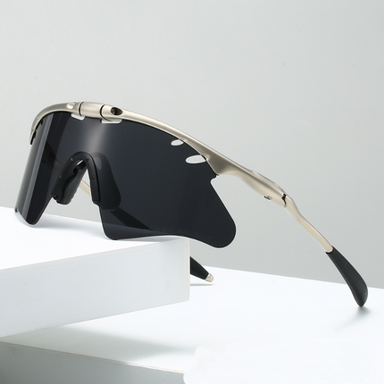 Gafas de sol polarizadas SolarMatrix