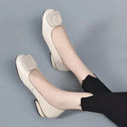 Beige / 35