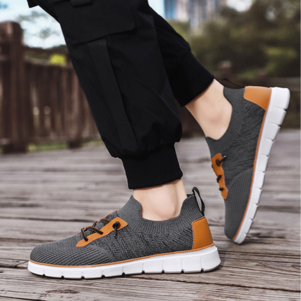 Zapatillas de entrenamiento Springfield