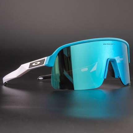 Gafas de sol polarizadas SolarHorizon