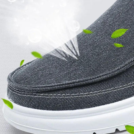Zapatos de lona casual