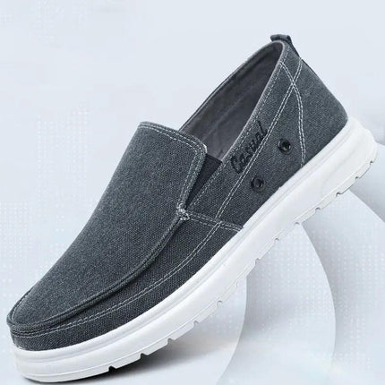 Zapatos de lona casual